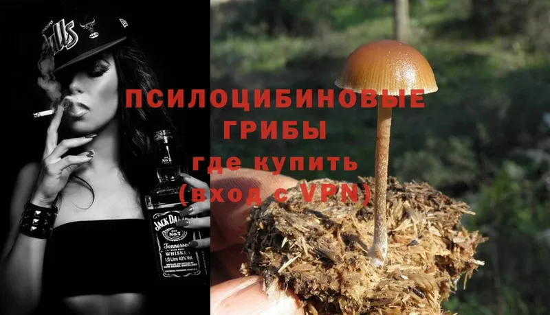 Псилоцибиновые грибы MAGIC MUSHROOMS  Новоалтайск 